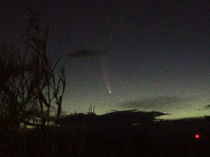 Cometa McNaught