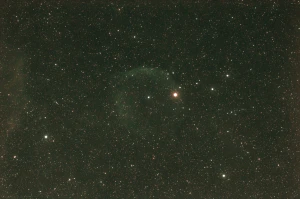 Nebulosa Cabeza de Delfín